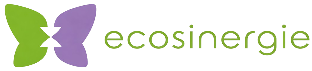 Logo Ecosinergie Footer
